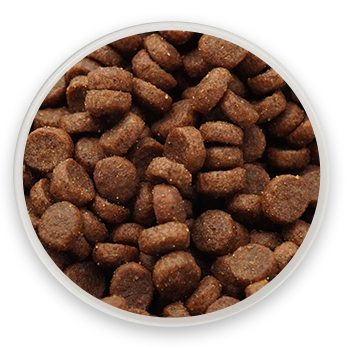 PH-14